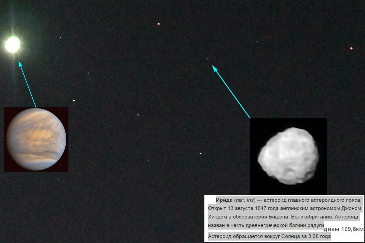 Венера и астероид Ирида - Сеня Белгородский Венера и астероид Ирида - Сеня Белгородский