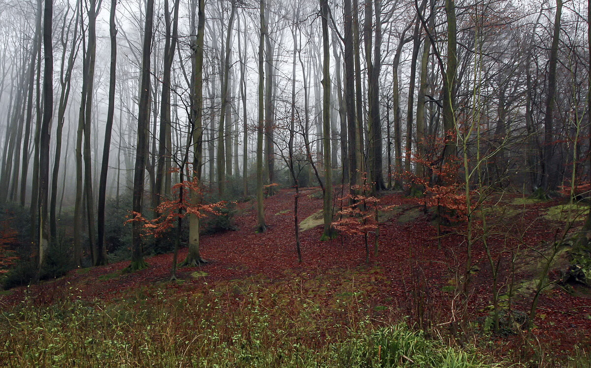**** - Андроник Александр **** - Андроник Александр