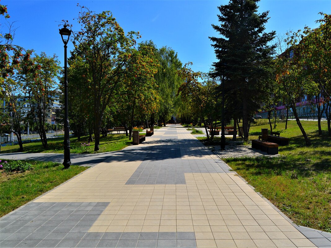 Чебоксары. Центральная аллея сквера им. Максима Горького. - Пётр Чернега Чебоксары. Центральная аллея сквера им. Максима Горького. - Пётр Чернега
