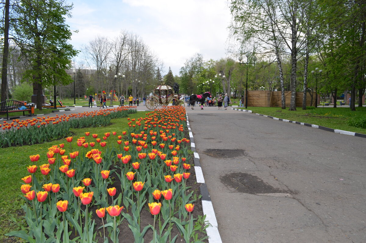 ,,, - Сергей Тимоновский ,,, - Сергей Тимоновский