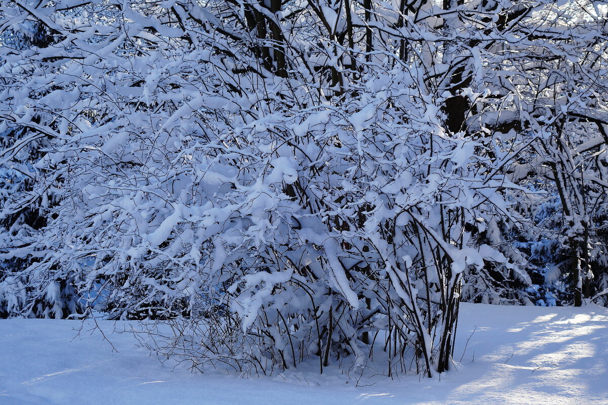 Февраль - Рита Симонова