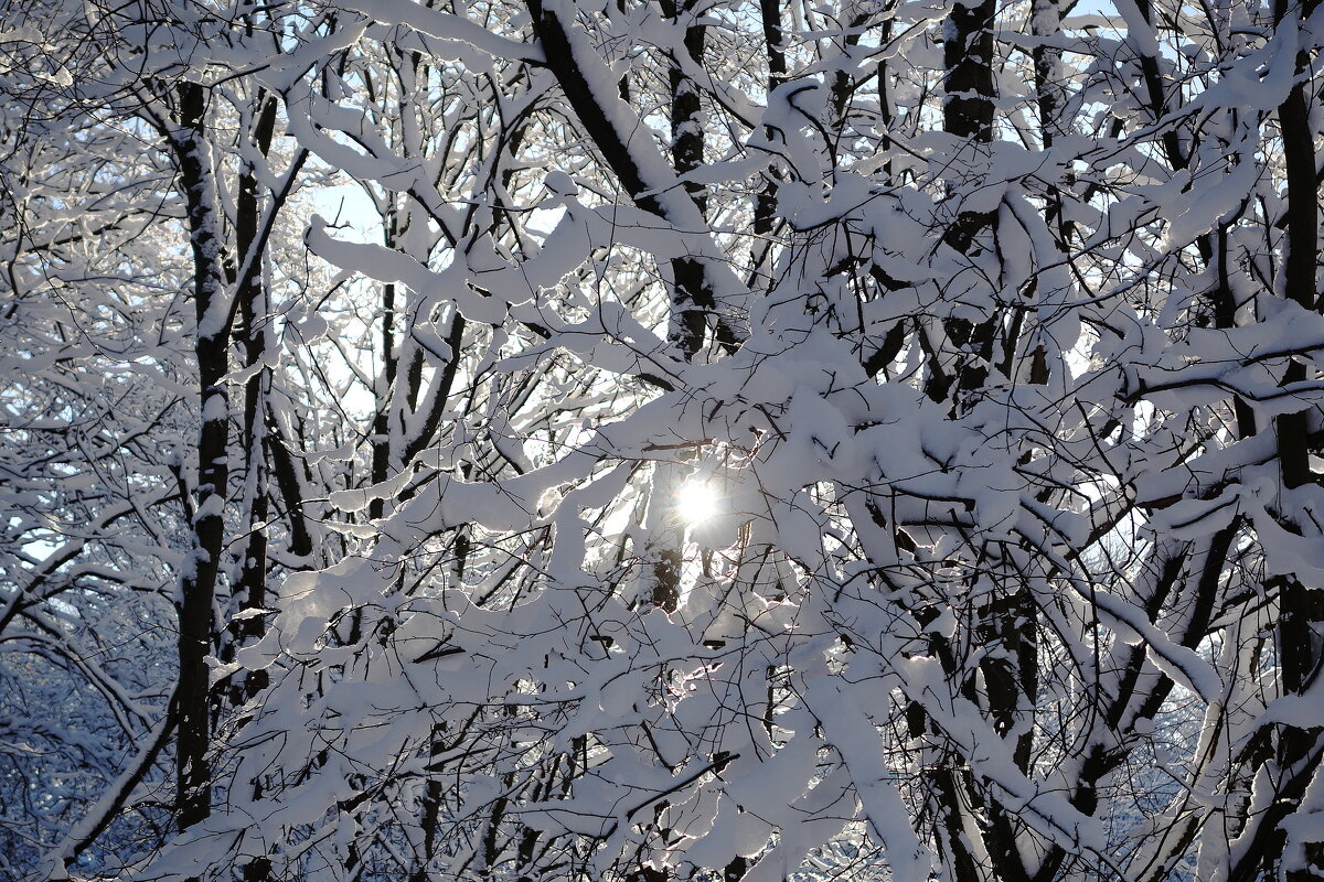 Февраль - Рита Симонова