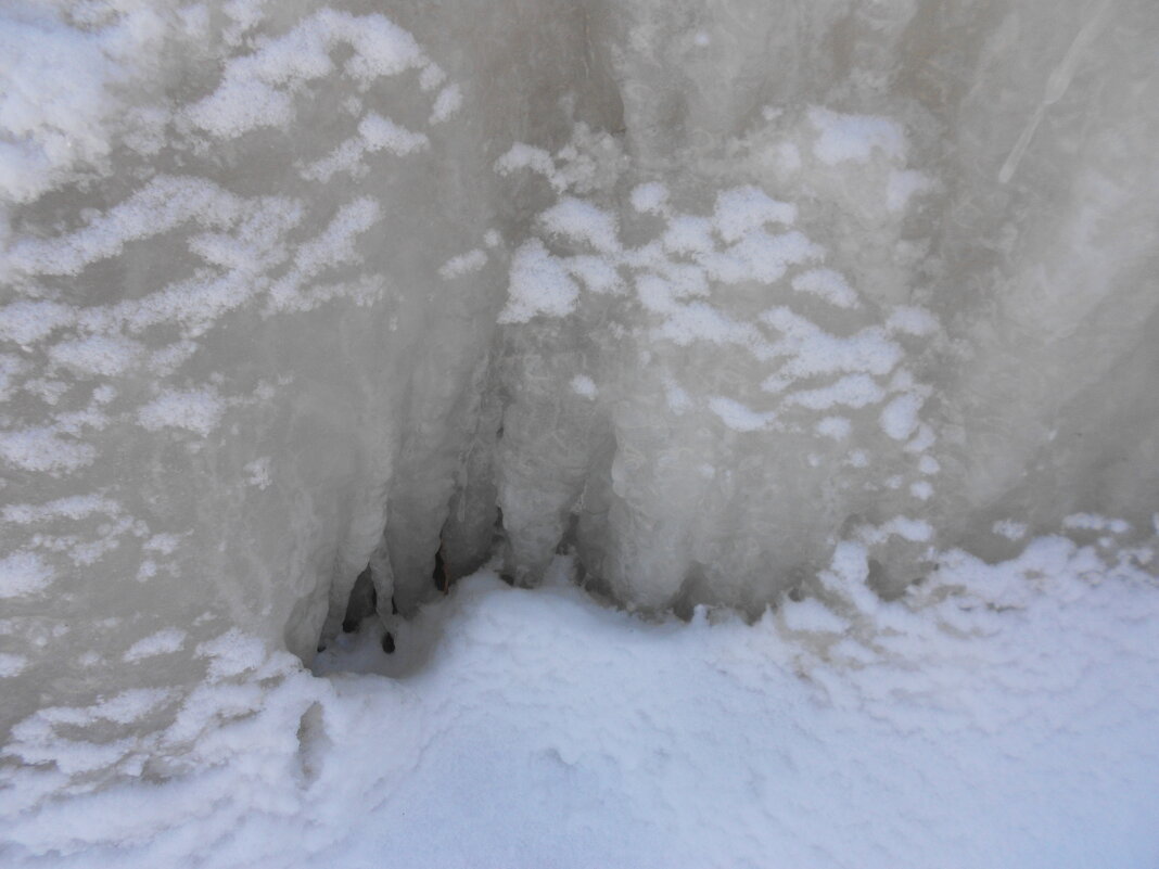 февраль - Елена Шаламова