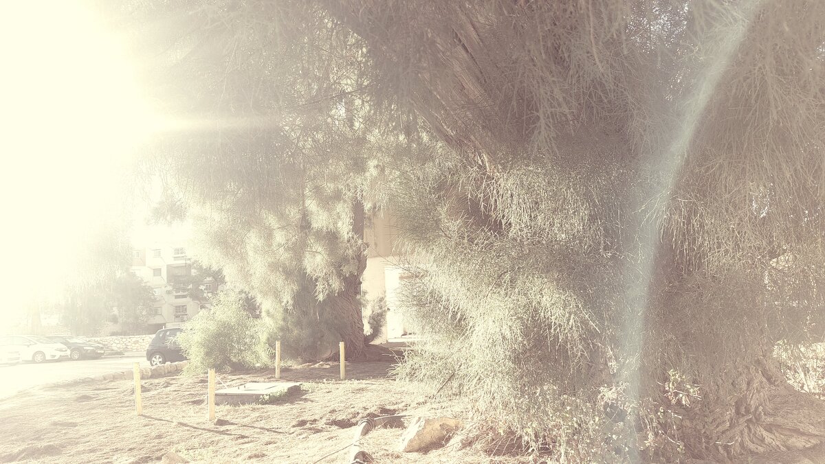 12  КЛОС (615) - CLOSE WAYS ALL