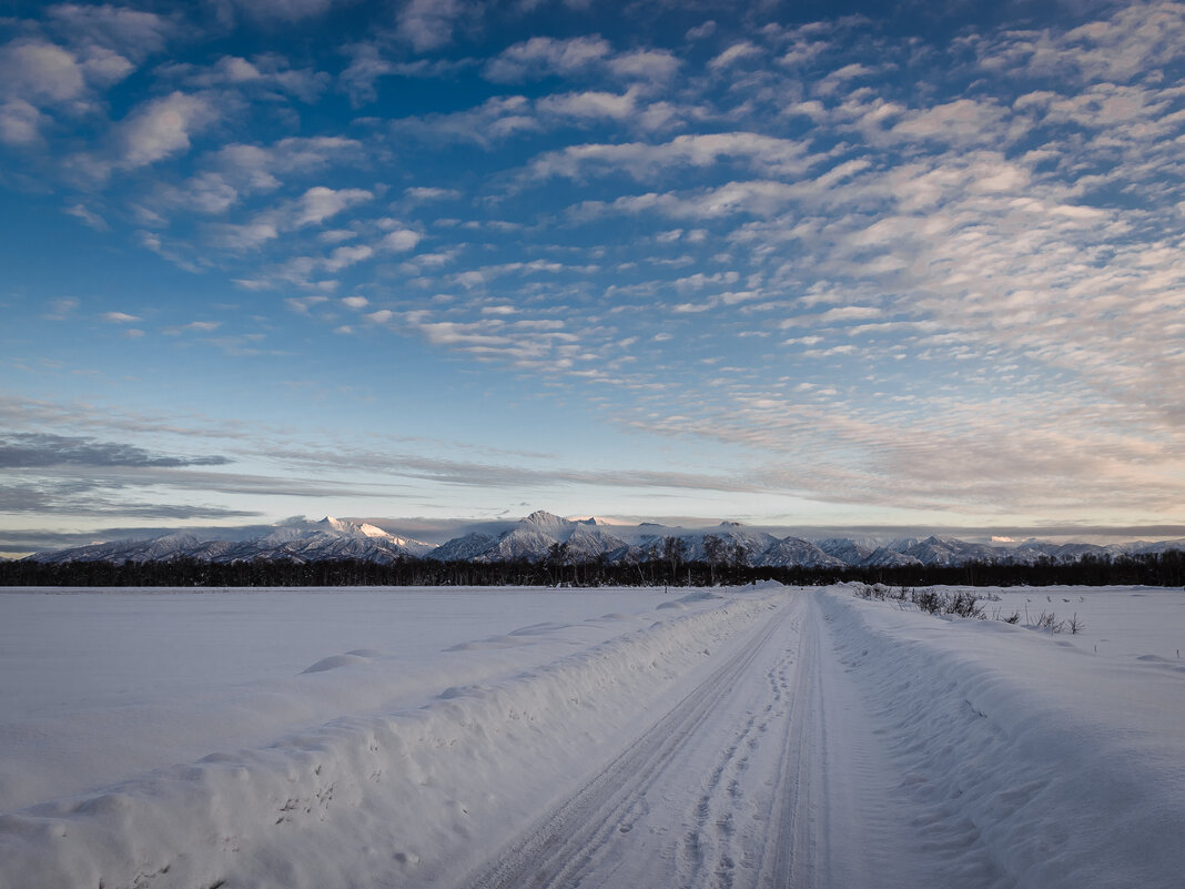 ... - Жора Житников ... - Жора Житников
