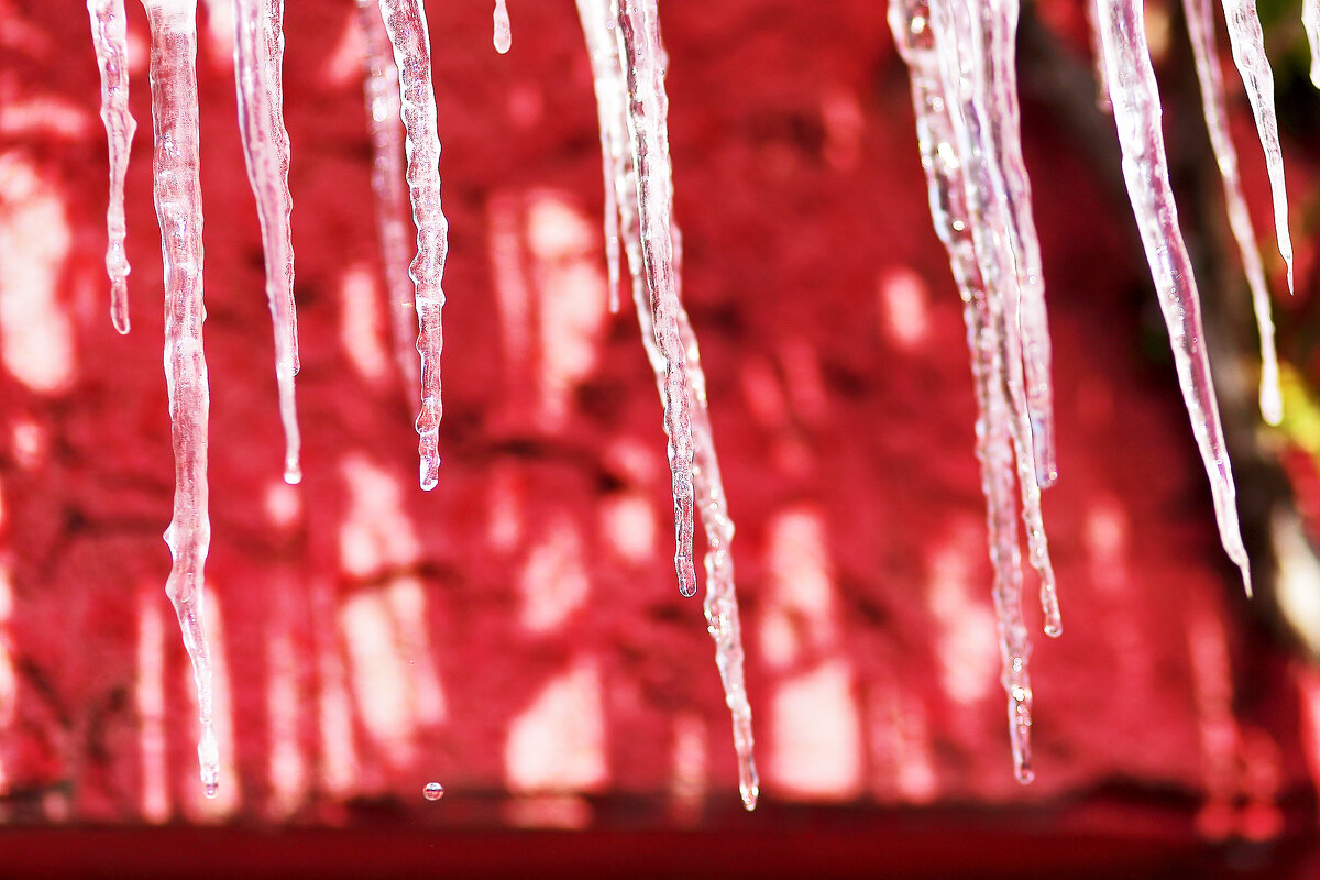 Февраль улыбается - Юрий Гайворонскiий