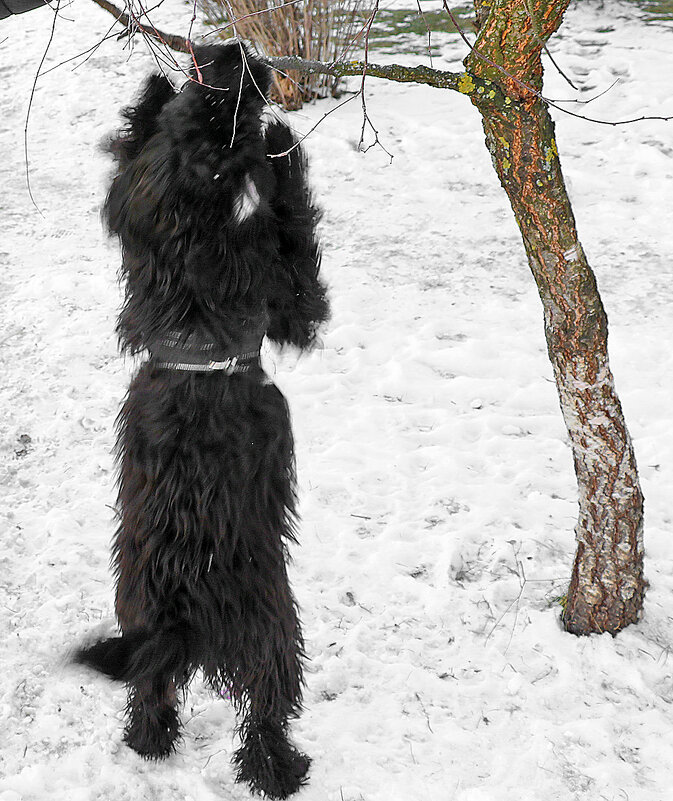 Ща как подтянусь!.. - Светлана Ща как подтянусь!.. - Светлана