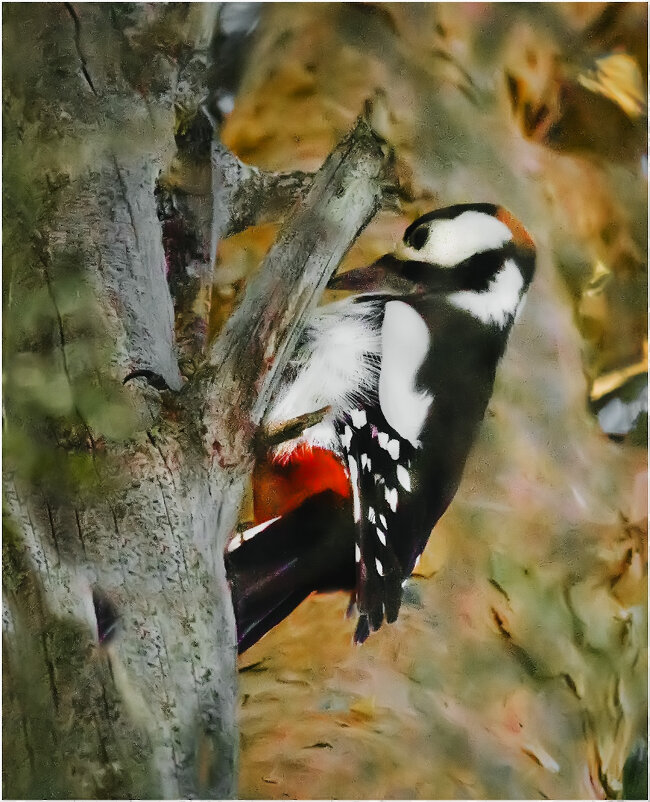 Санитар леса - Валентин Котляров Санитар леса - Валентин Котляров