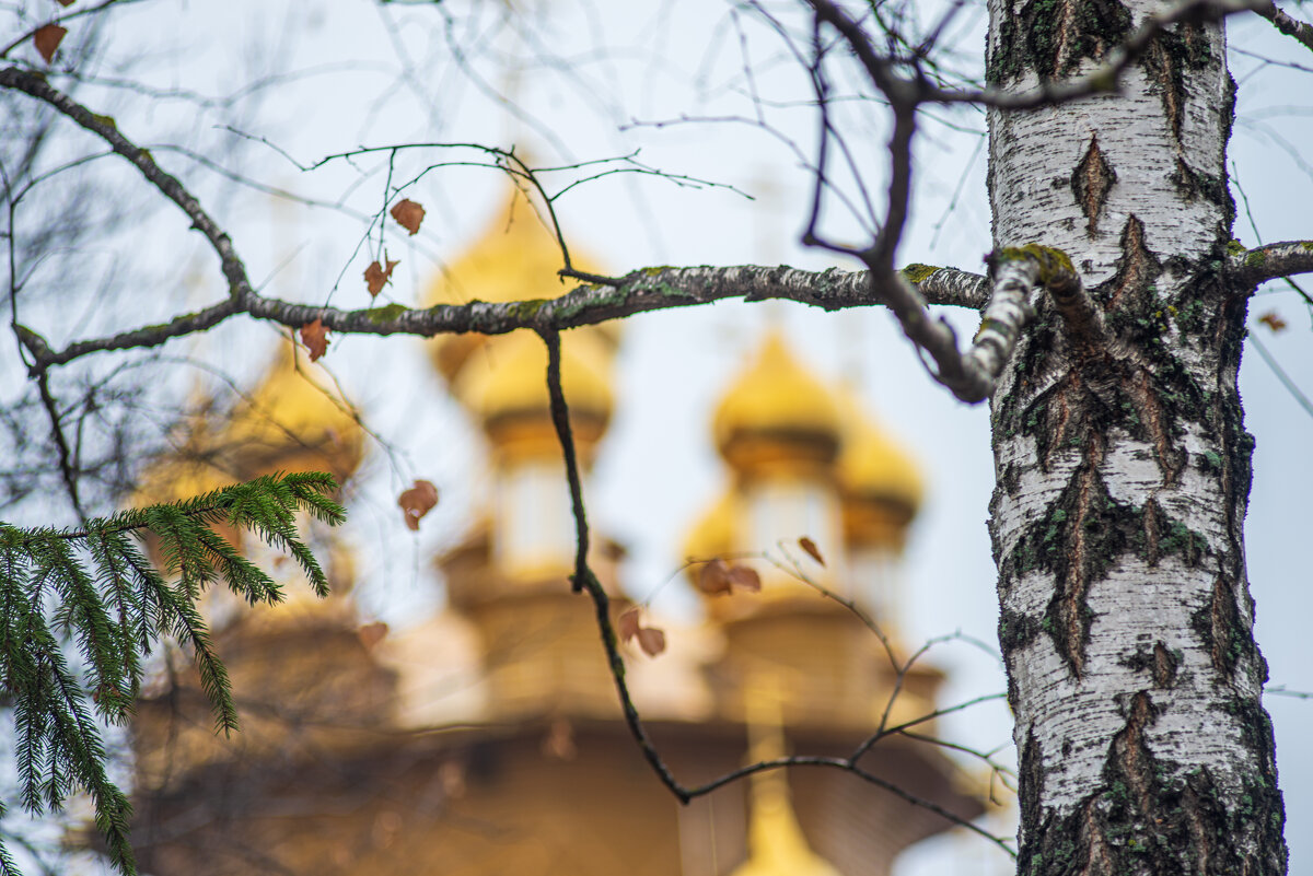 золотые купола - Александр Леонов золотые купола - Александр Леонов