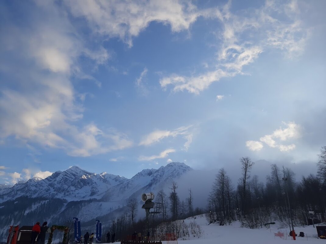 Зима в Сочи - Tata Wolf