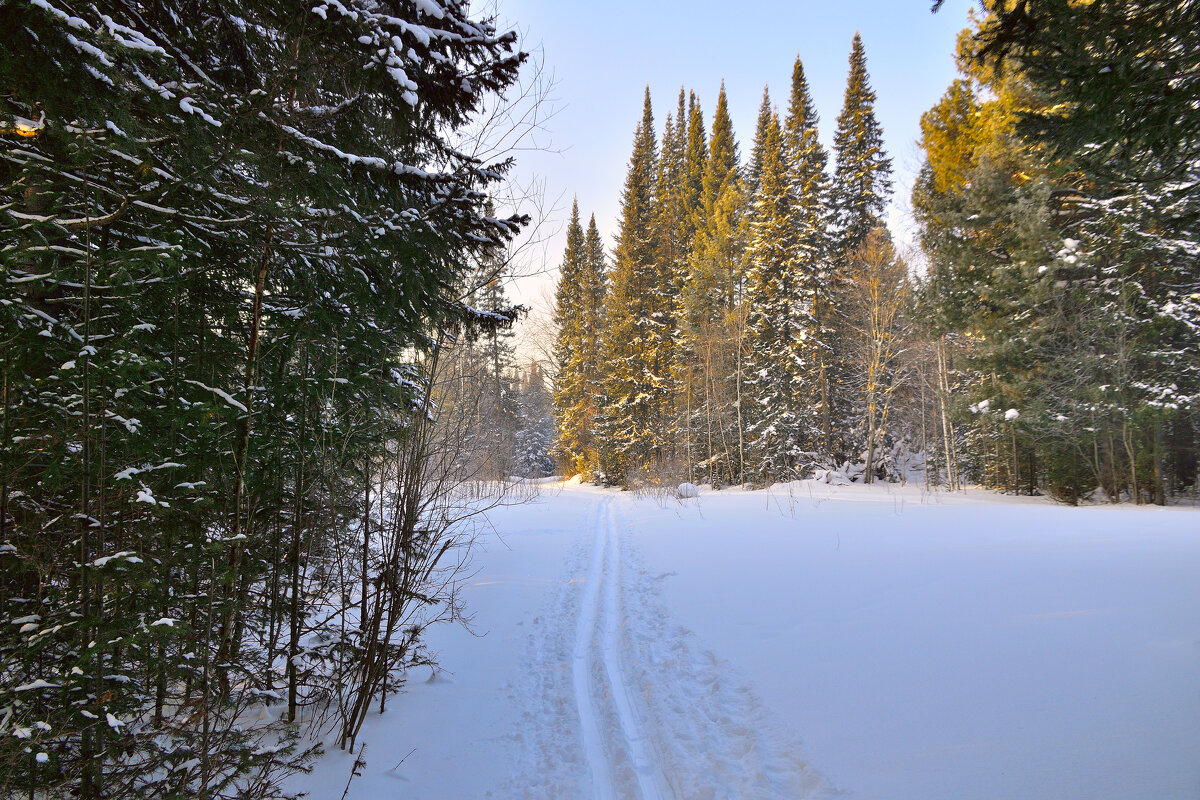 - - Владимир Мигонькин