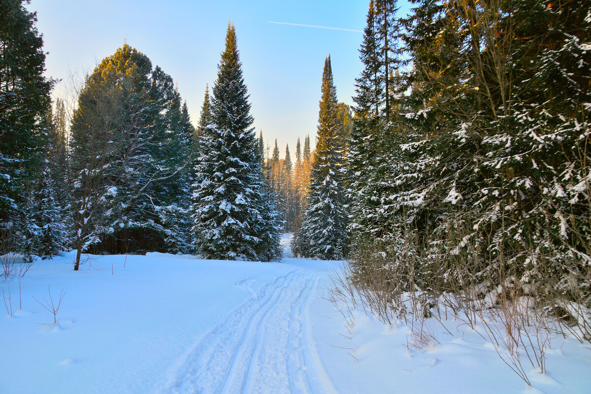 - - Владимир Мигонькин