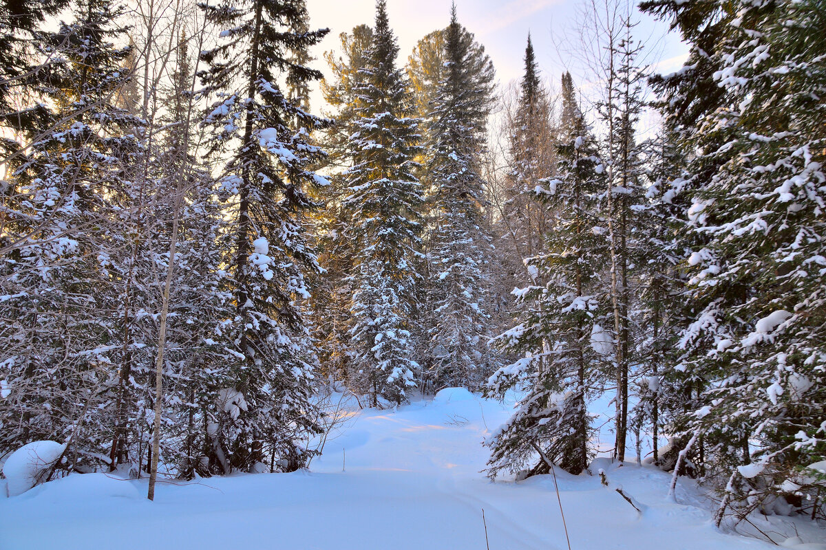 - - Владимир Мигонькин - - Владимир Мигонькин