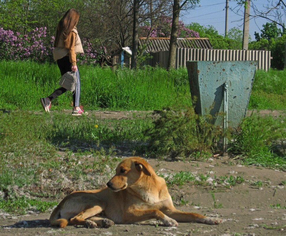 . - Александр Хоменко