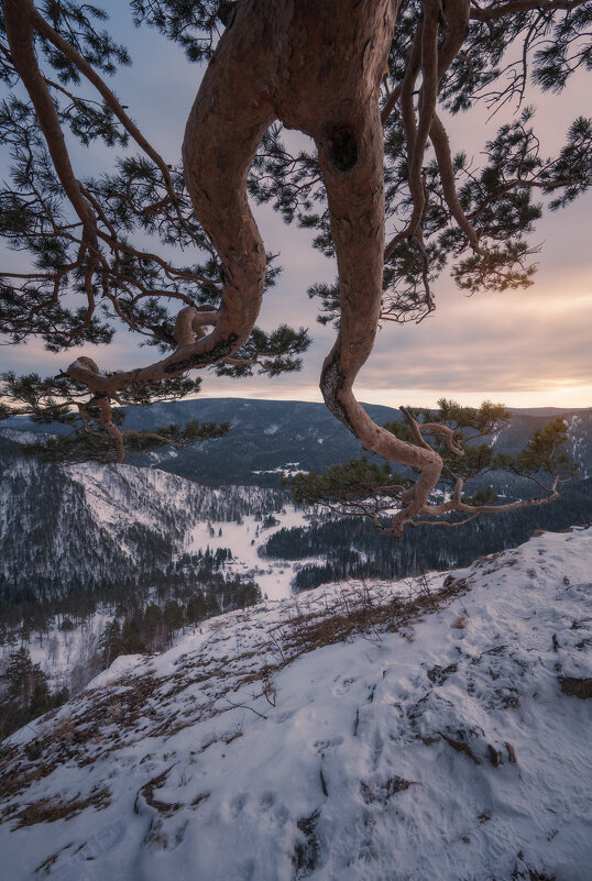 * - Александр Иванов