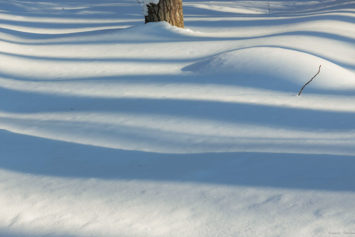 По волнам зимы - Евгений Тарасов 