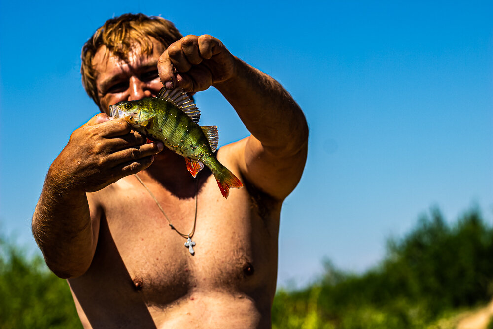 Поймал - Светлана SvetNika17 Поймал - Светлана SvetNika17