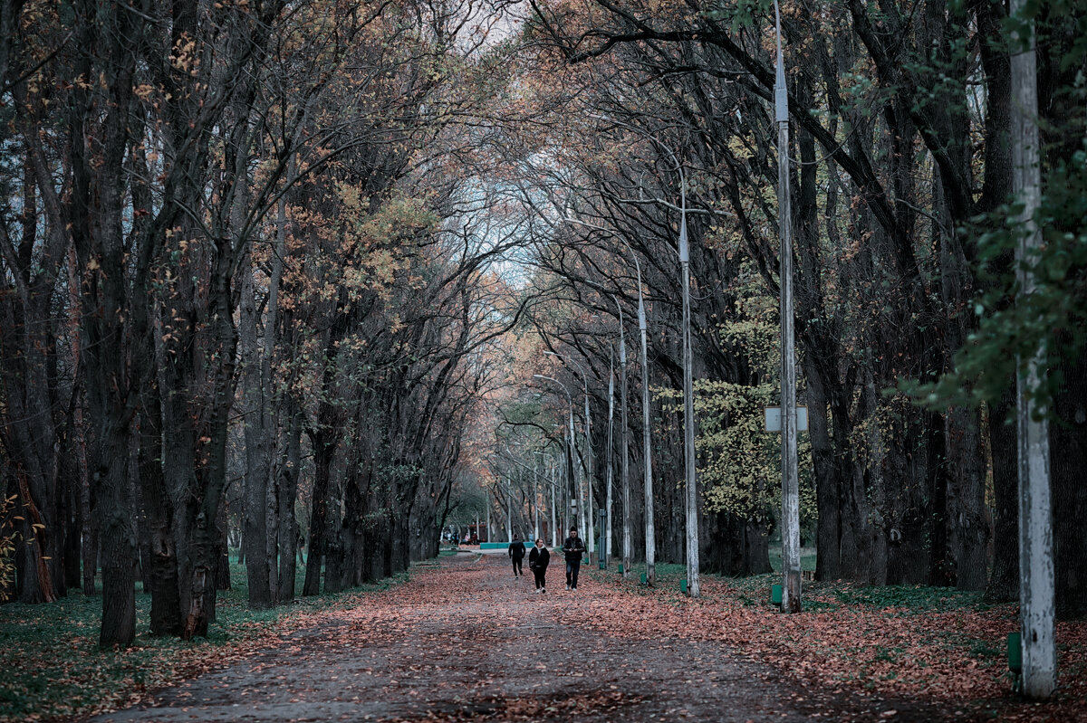 ... - Игорь Хижняк ... - Игорь Хижняк