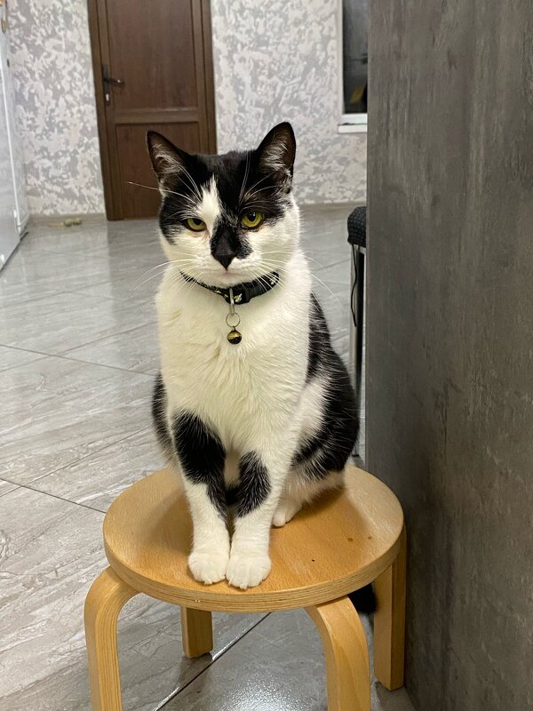 Малыш! - Светлана Хращевская