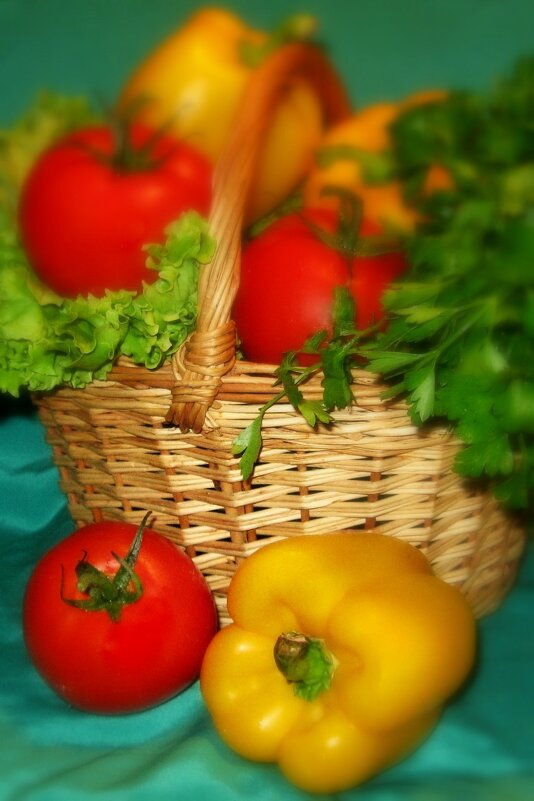 СВЕТОФОРЧИК - Татьяна Касьяненко СВЕТОФОРЧИК - Татьяна Касьяненко