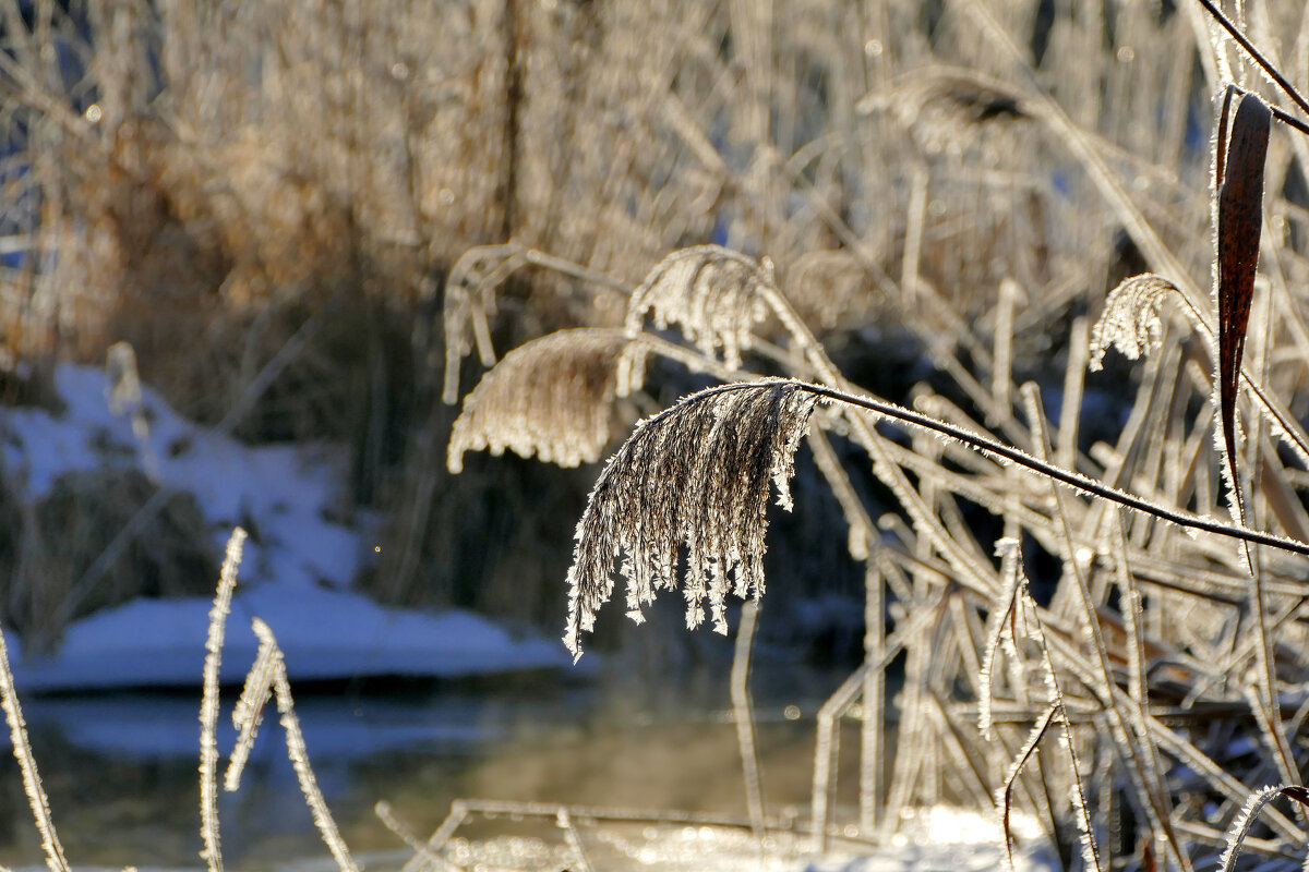 февраль. вчерашнее утро 1 - Александр Прокудин