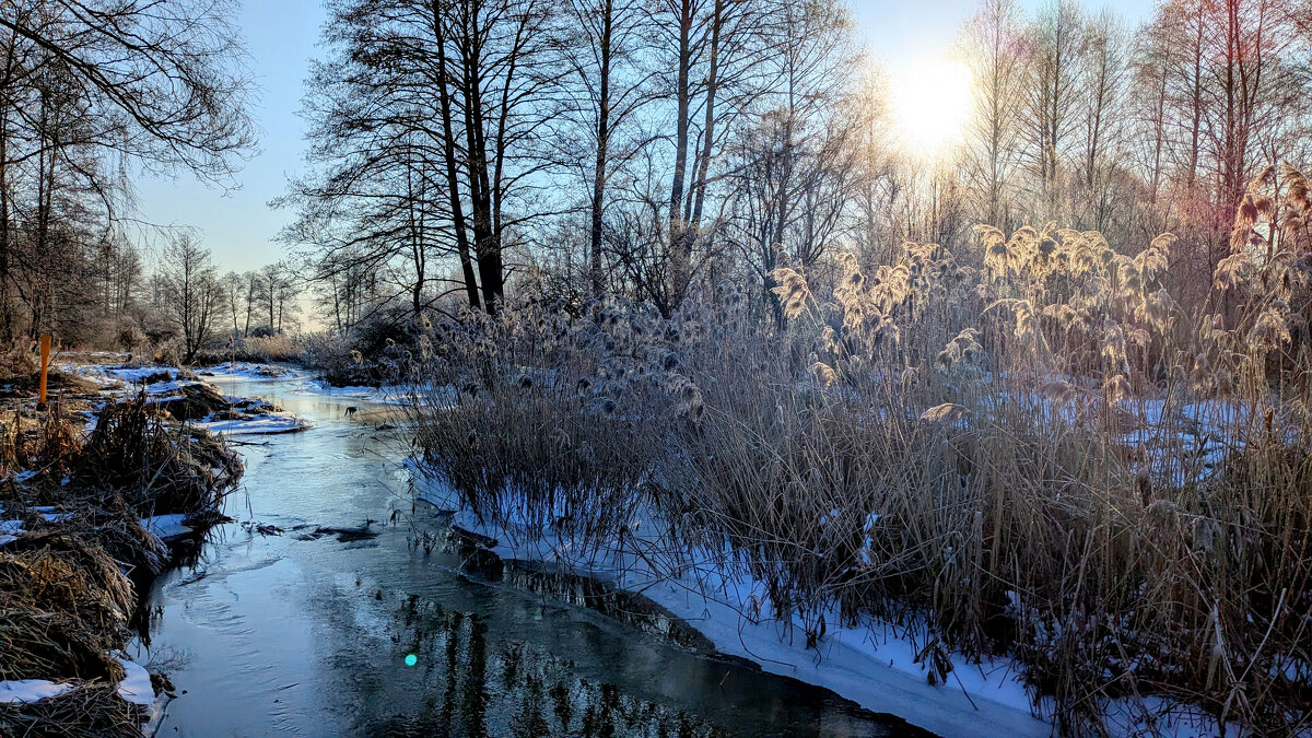 февраль. вчерашнее утро 5 - Александр Прокудин февраль. вчерашнее утро 5 - Александр Прокудин