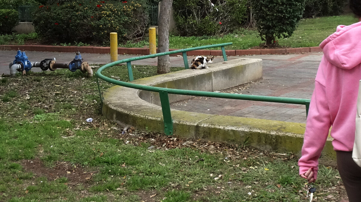 Sei personaggi in cerca d'autore - Helmut Levitt Sei personaggi in cerca d'autore - Helmut Levitt