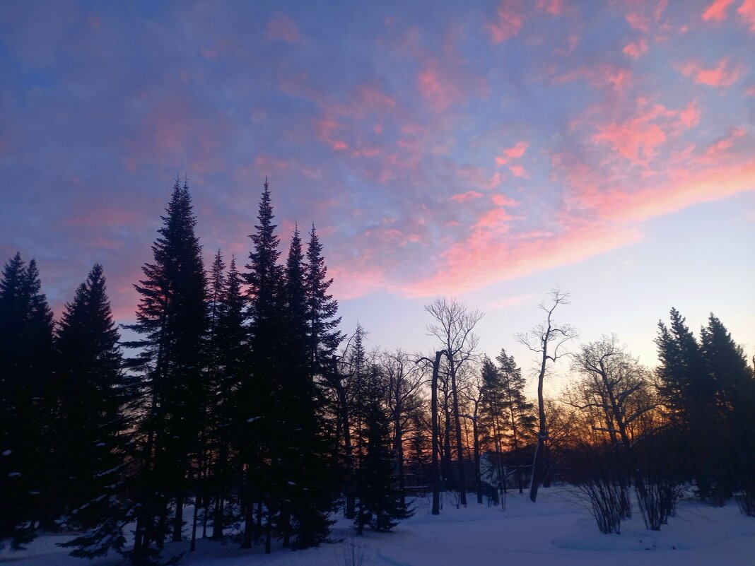 Рассвет - Сапсан 