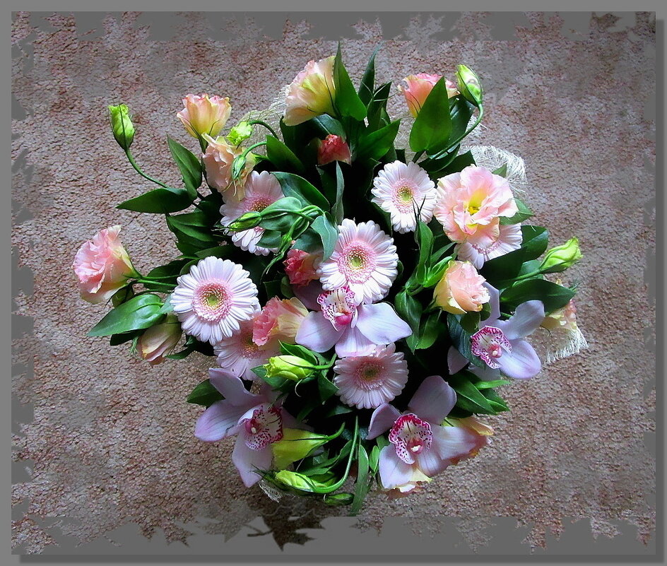 "Музыка для глаз". - Ольга Довженко