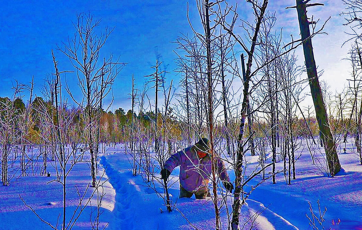 Февраль...Снега по пояс! - Владимир 