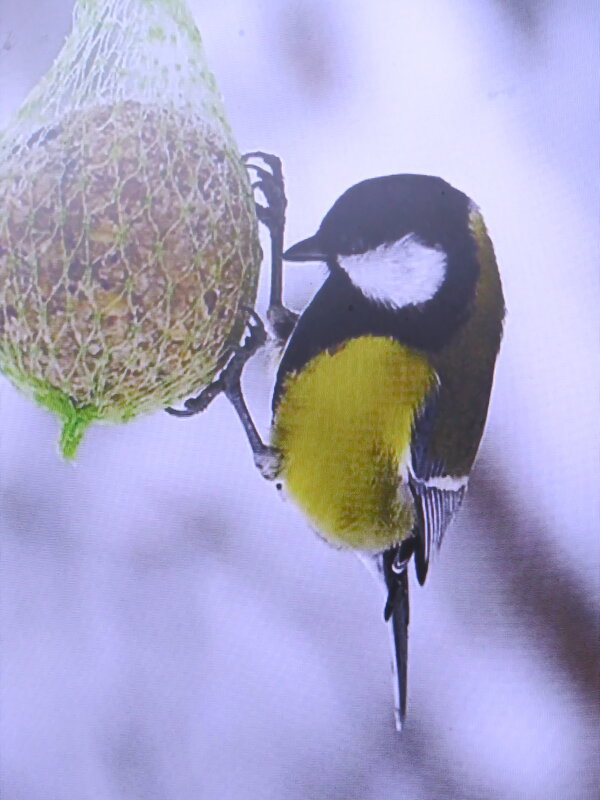 Такая довольная - Людмила Смородинская