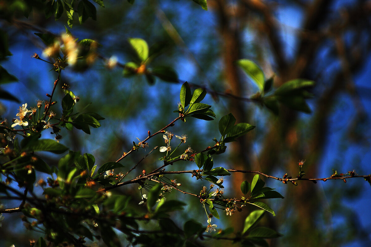 Какое небо голубое! - Юрий Гайворонскiий