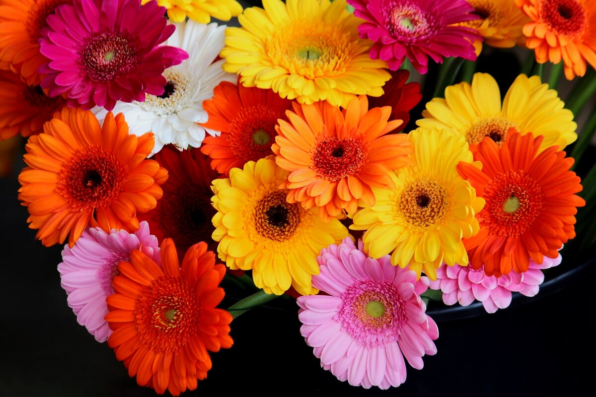 Доброе утро - Юрий. Шмаков Доброе утро - Юрий. Шмаков