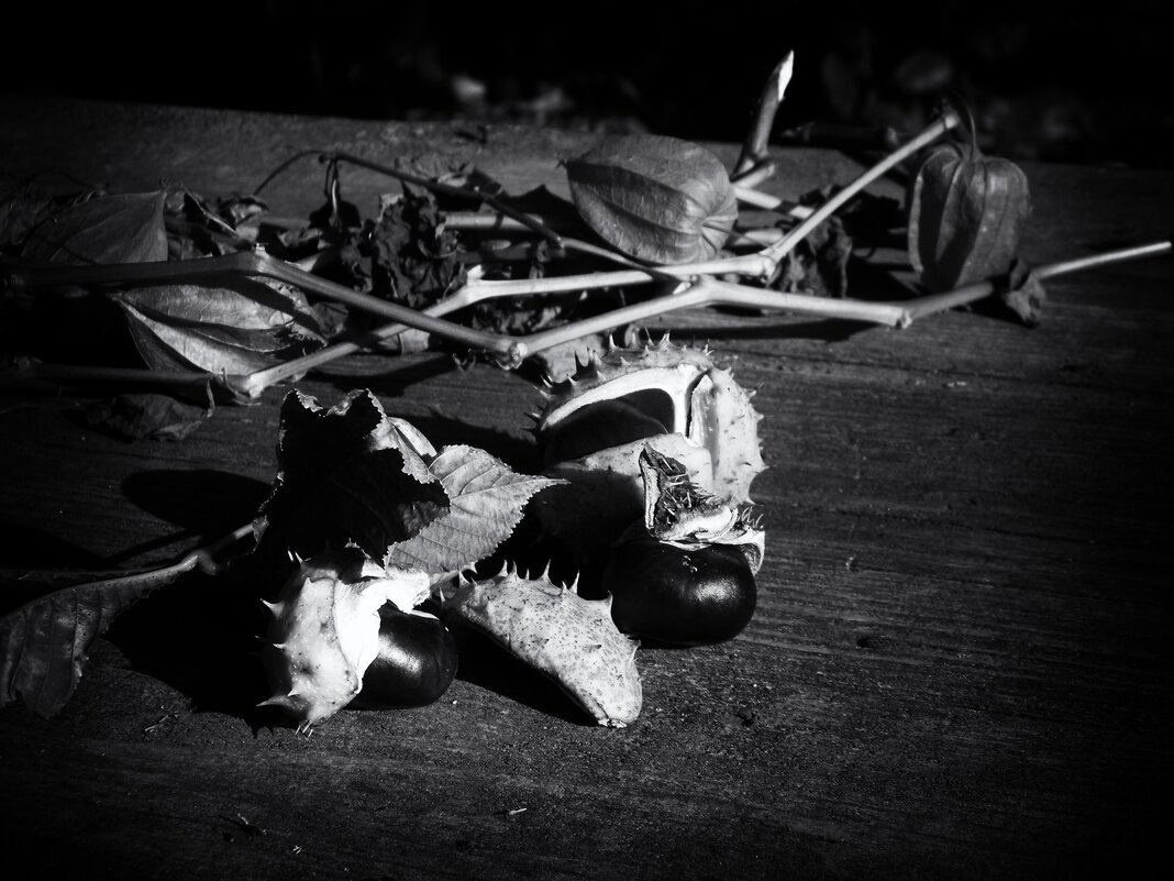 ЧБ фото - Роман Савоцкий