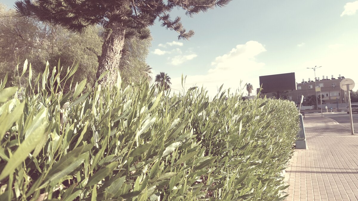 12  КЛОС (625) - CLOSE WAYS ALL