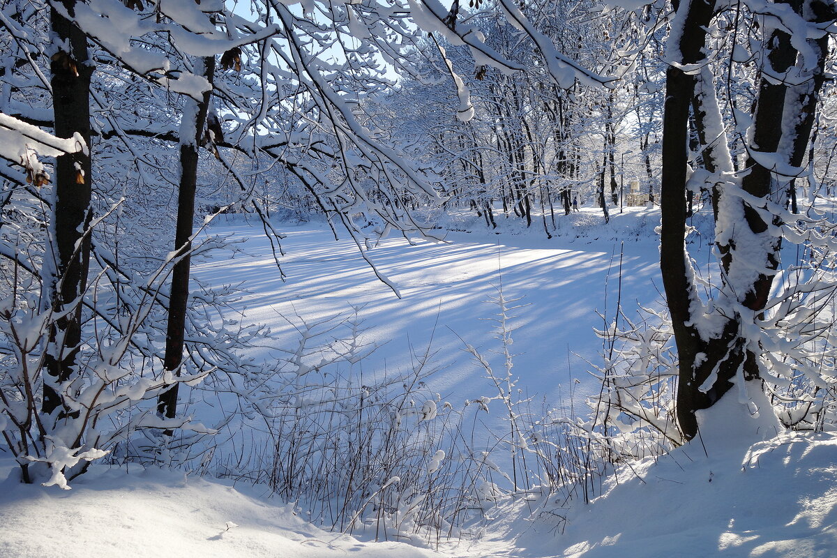 Февраль - Рита Симонова