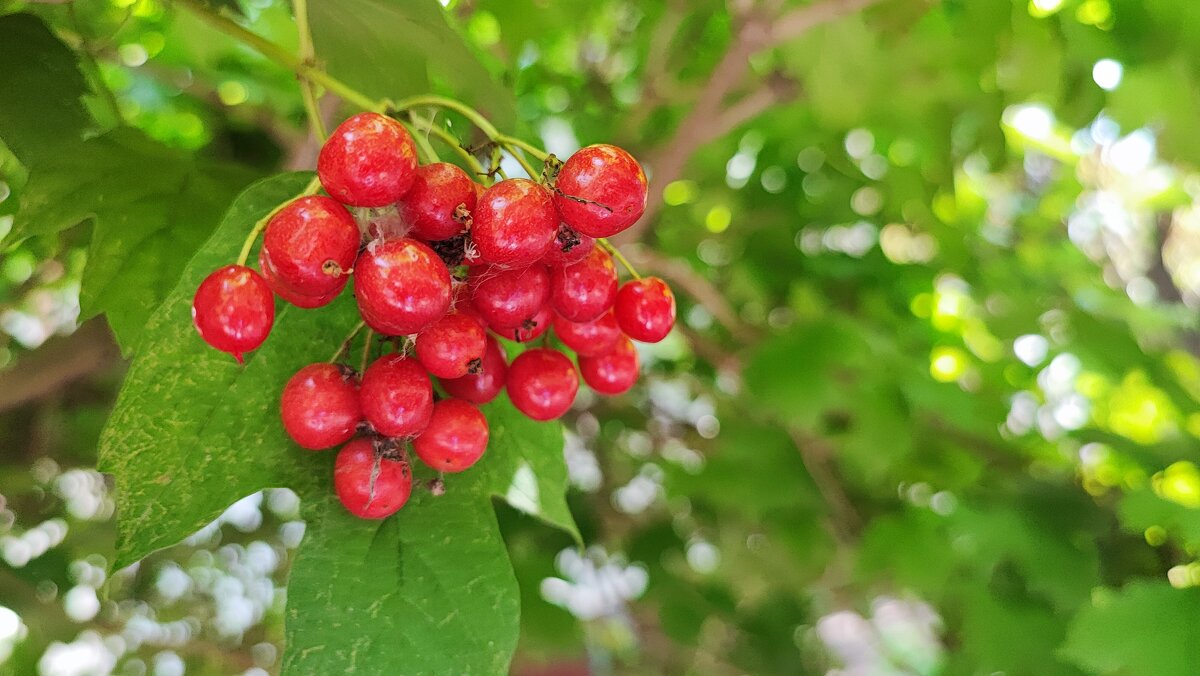 ,,, - Сергей Тимоновский ,,, - Сергей Тимоновский