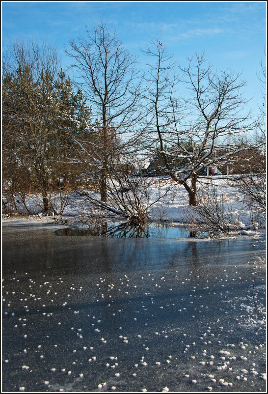 Замерзающий пруд - lady v.ekaterina