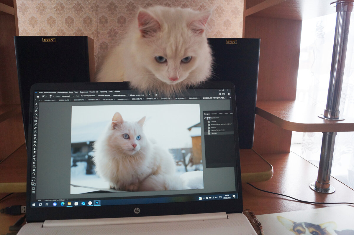 Контролер - Сергей Ц