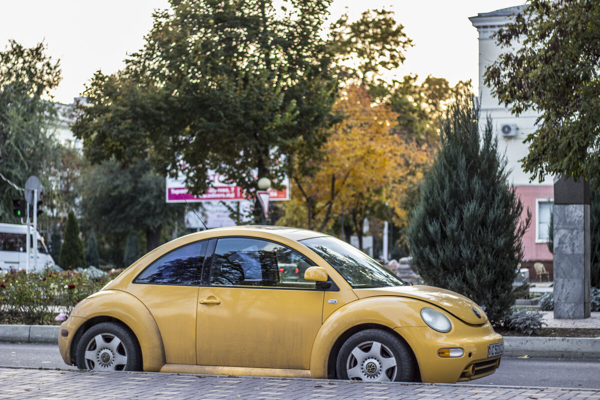 Горчишный жук в лучах заходящего солнца на бульваре Гагарина - Коля Лукашов