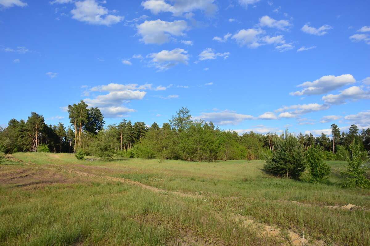 Донские виды. - Виктор 
