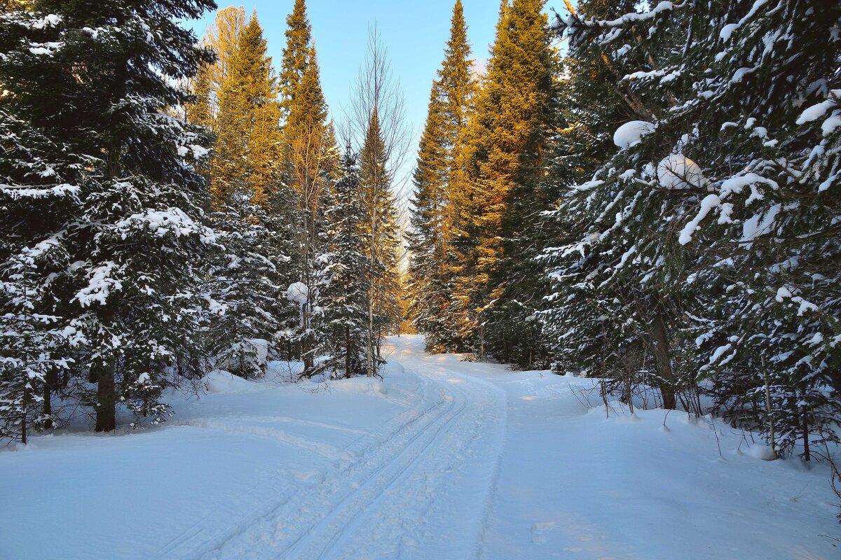 - - Владимир Мигонькин