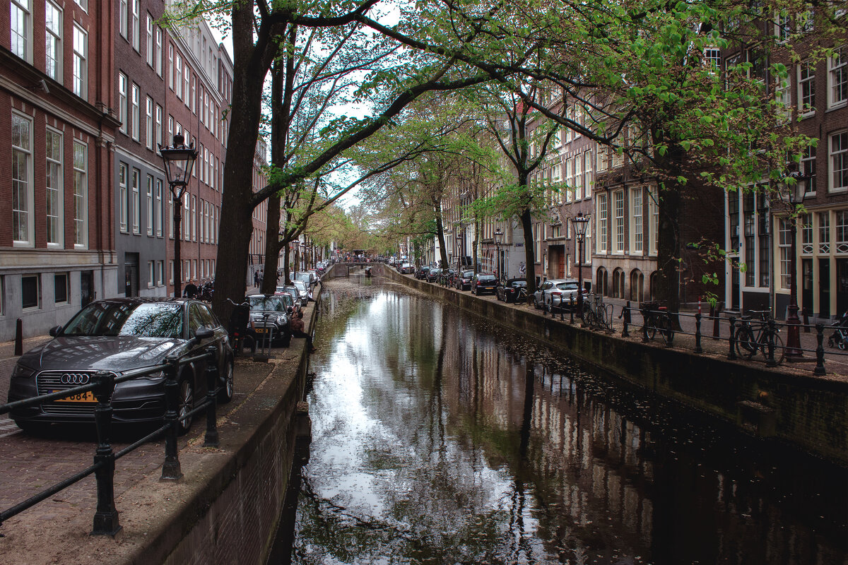 Амстердам - Александр Амстердам - Александр