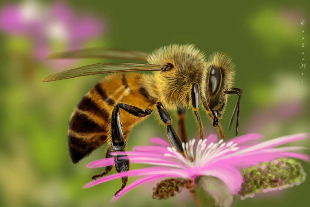 Пчела - Наталия Львова