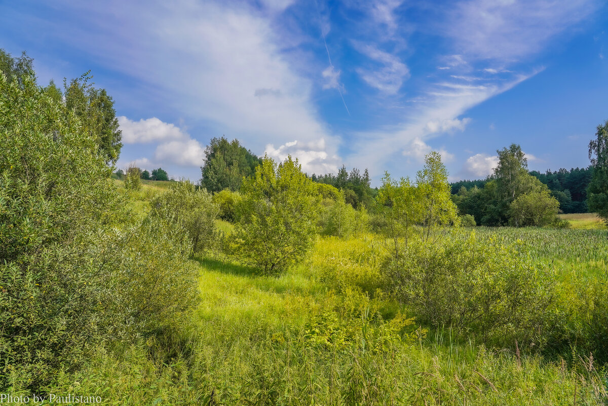 На болоте... - Владимир Жданов
