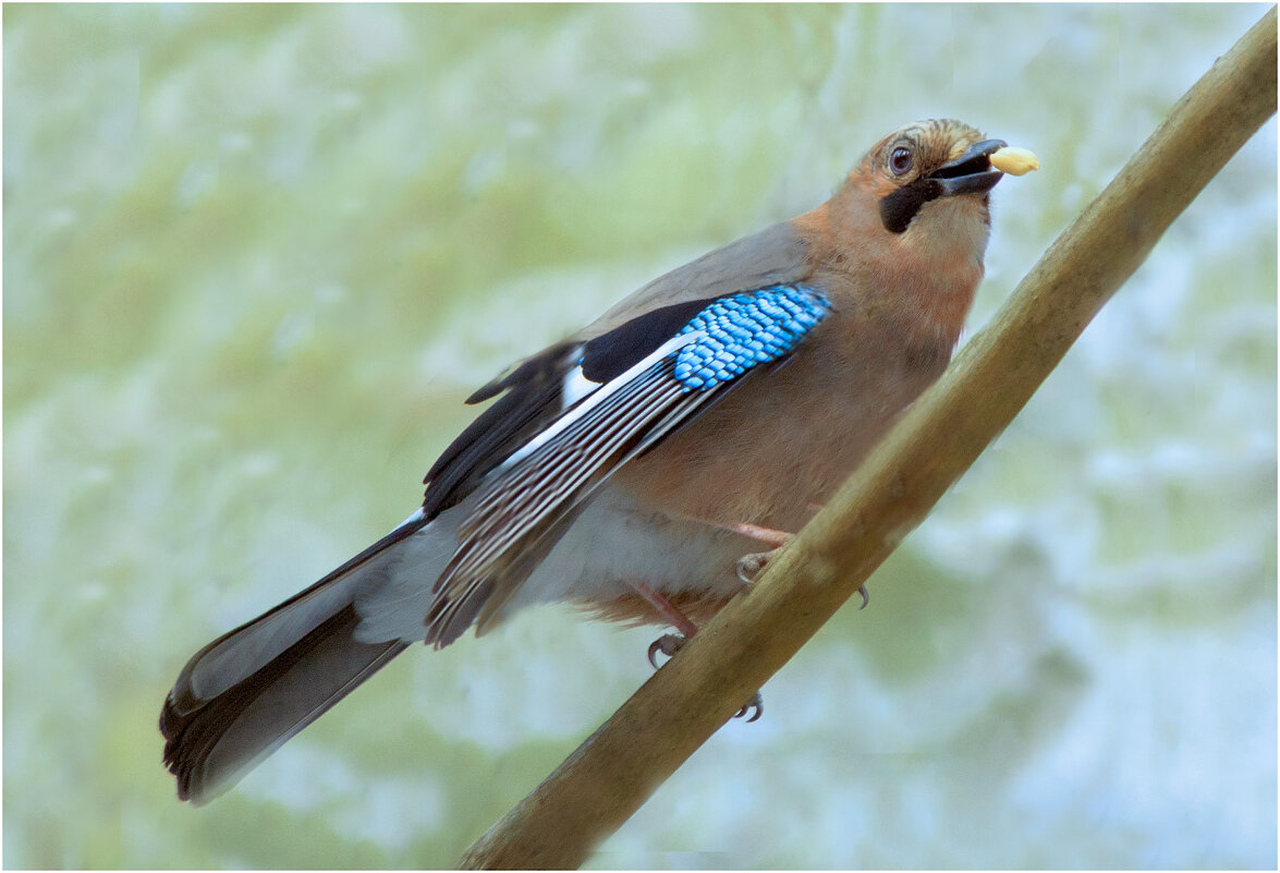 Вкусный завтрак - Валентин Котляров