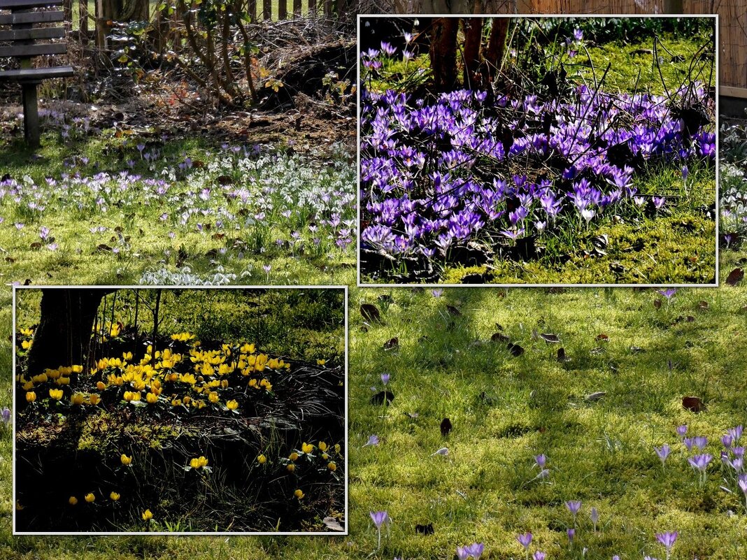 весенние коллажи - Heinz Thorns