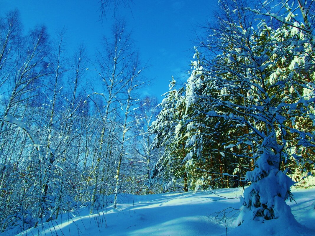 природа - Владимир 