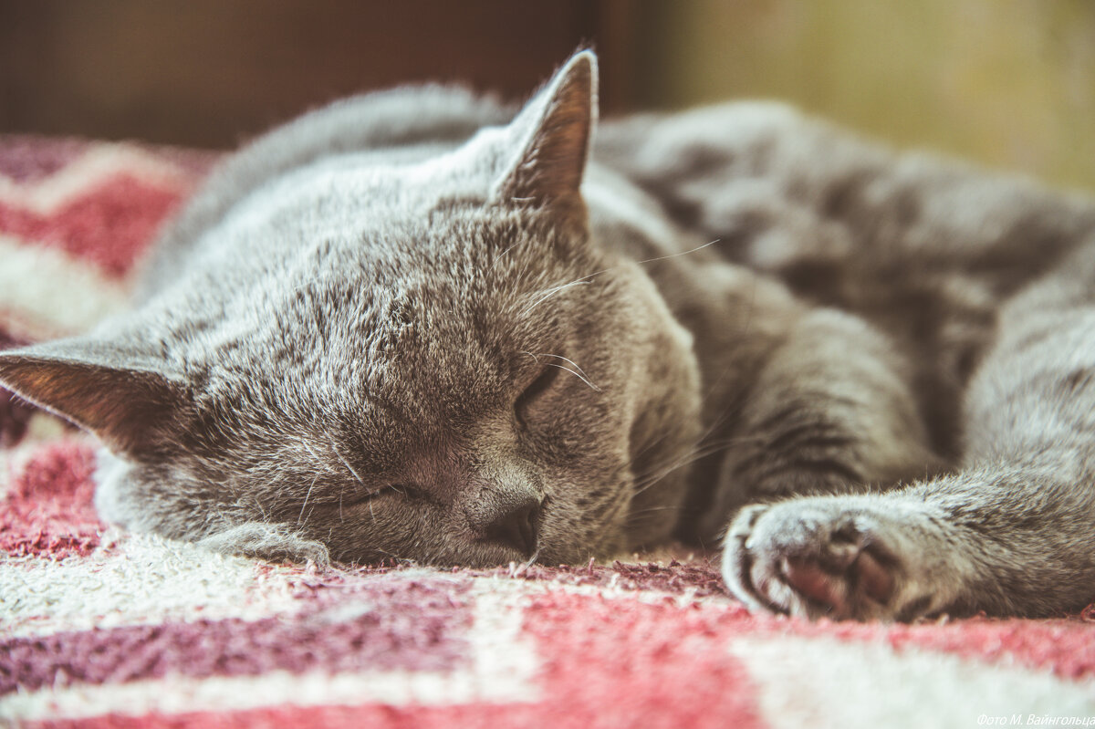 Жорка - Михаил 