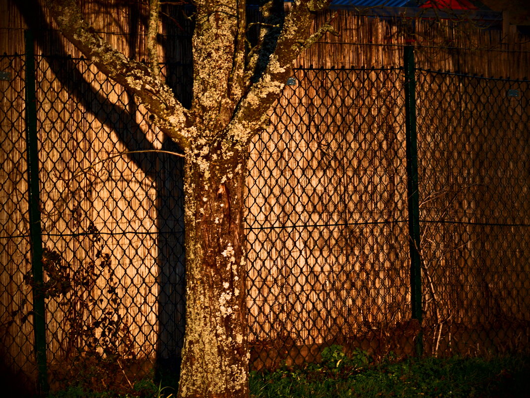 Фаинген 87 - Алексей Кузнецов